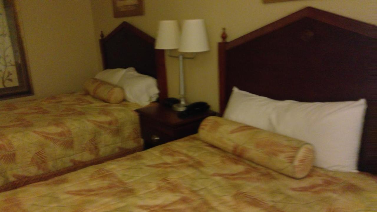 Royal Palms Apartment Briarcliffe Acres Esterno foto