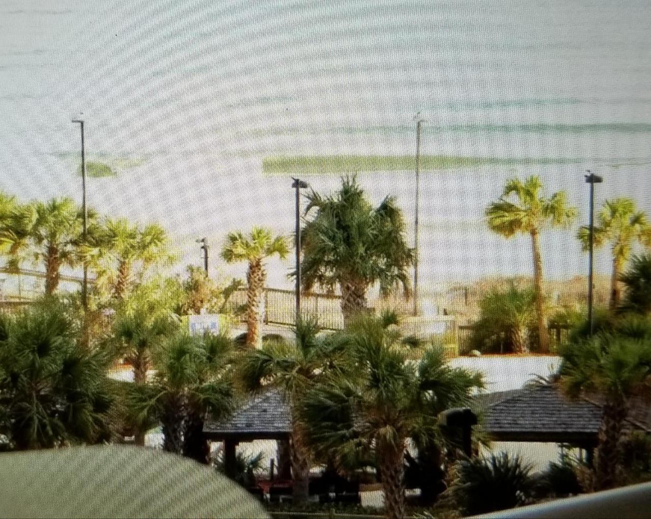 Royal Palms Apartment Briarcliffe Acres Esterno foto